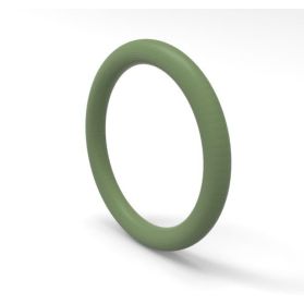 10416502 NORMATEC® O-Ring HNBR 70.00-02 grün