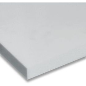 01101020 PTFE N100 Platte natur (weiss)