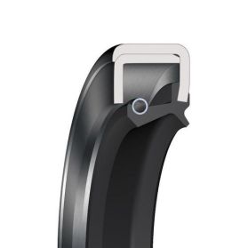 10506006 Radial-Wellendichtring Form CS Schnitt