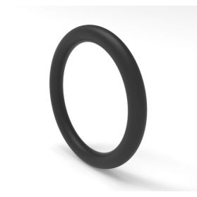 10341001 FFKM O-Ring EVOLAST® PN896